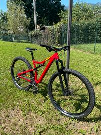 Specialized Camber 29