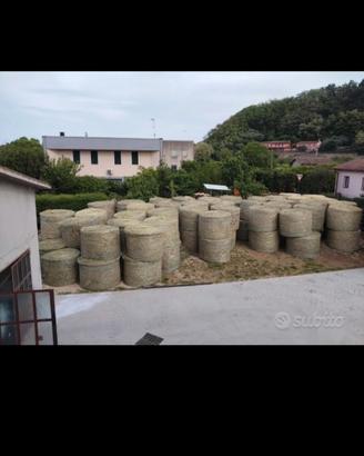 Fieno di prato stabile