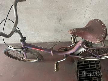 Bici pieghevole da passeggio