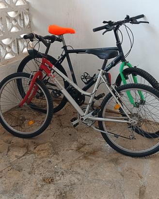 Mountain bike 