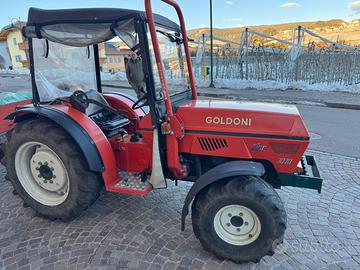 Goldoni star 3070 dt