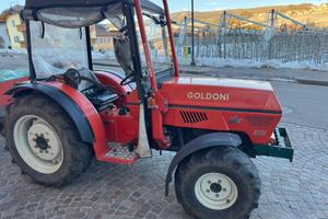 Goldoni star 3070 dt