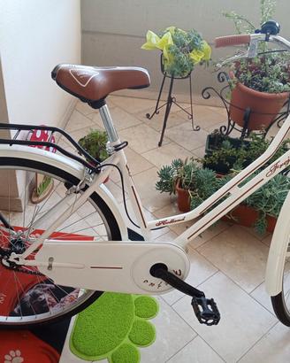 bicicletta olanda usata come nuova 