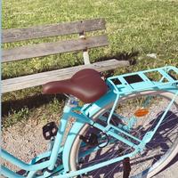 Bicicletta in perfette condizioni