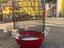 Immagine 1