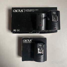 Trigger flash Cactus v4