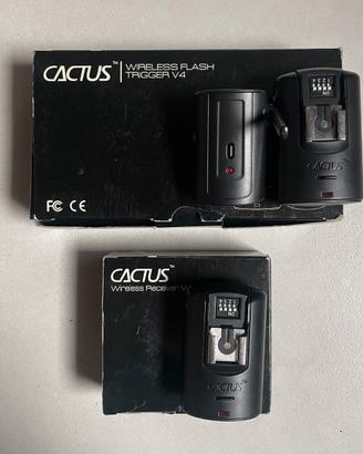 Trigger flash Cactus v4