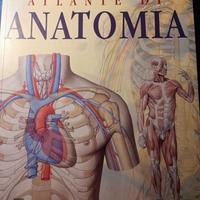 Libro Atlante di Anatomia Giunti
