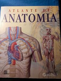 Libro Atlante di Anatomia Giunti