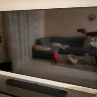 Tv sony 75 pollici android