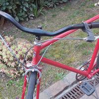 bicicletta uomo n. 28