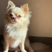 Disponibilità x monta(prezzi onesti)