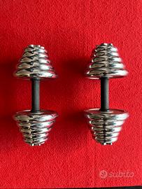 Manubri regolabili con dischi – circa 15 kg totali