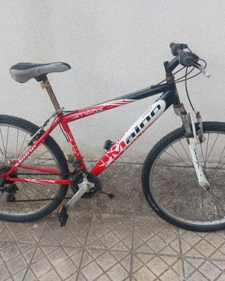 REGAL.     BICI  misura 24