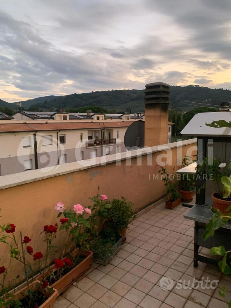 Duplex Bettona [GRIM2886VRG] - Altro