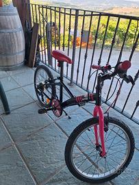 bicicletta 