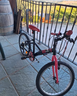 bicicletta 