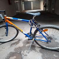 mountain bike da uomo 