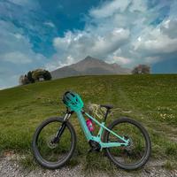Bici Elettrica Canyon