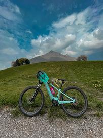 Bici Elettrica Canyon