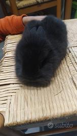 Coniglietto nano testa di leone