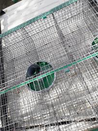 Gabbie per conigli da ingrasso