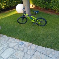 mountain-bike per ragazzi 6/12 anni