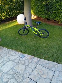 mountain-bike per ragazzi 6/12 anni