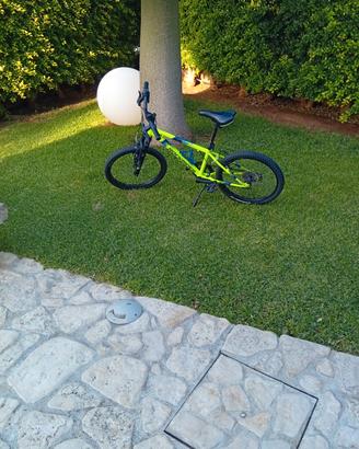 mountain-bike per ragazzi 6/12 anni