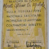 Tessera Confederazione Agricoltori Fascista 