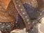 Immagine 3