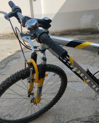 Mountain bike 
