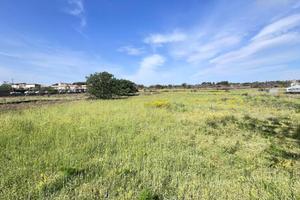 Agricolo a Tremestieri Etneo