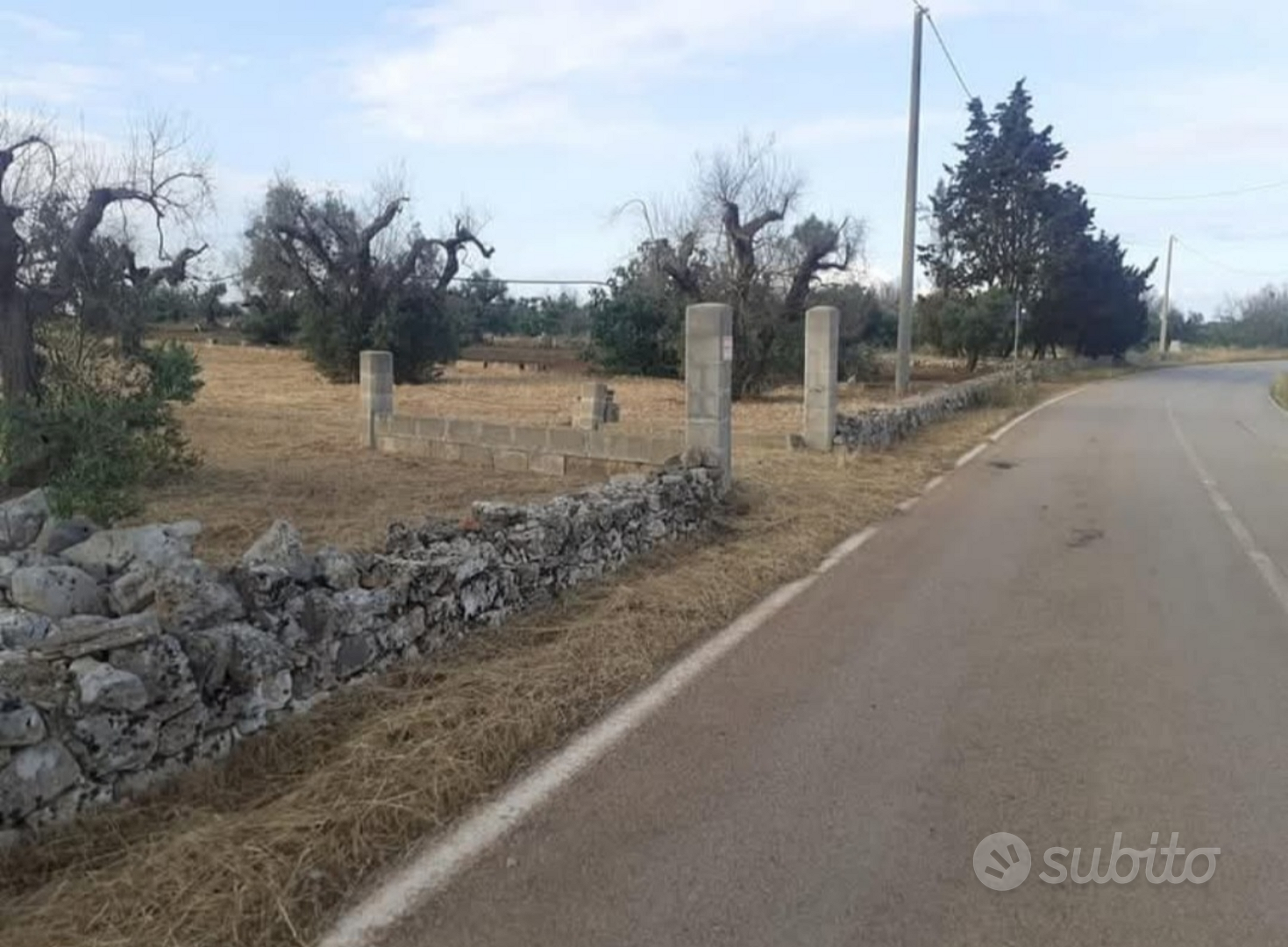 Terreno agricolo - Vista 3