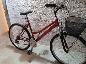Mountain bike