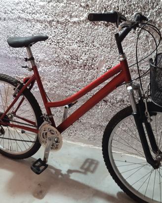Mountain bike
