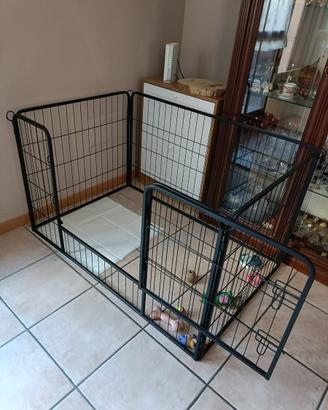 Recinto per cani