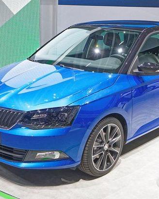 Parabrezza Skoda Fabia 2014 in poi