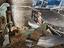 Immagine 3