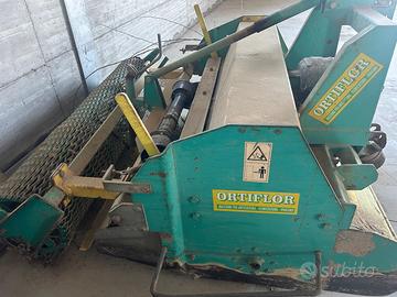 Interessassi orti flor