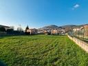 adiac-c-c-i-platani-pianeggiante-terreno-agricol