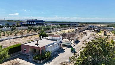 Terreno agricolo - Andria