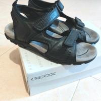 Geox pelle uomo