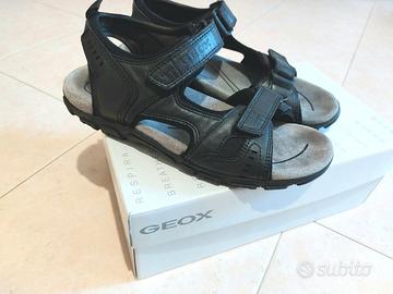 Geox pelle uomo