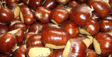 MARRONI FRESCHI DI MONTAGNA - Teramo 🌰