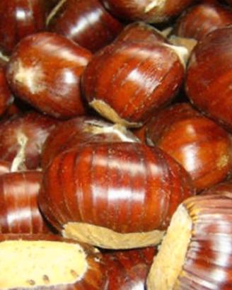 MARRONI FRESCHI DI MONTAGNA - Teramo 🌰