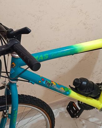 Bicicletta Mountain bike 26