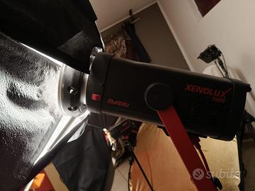 Flash Xenolux 1000 e giraffa professionale.