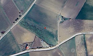 Terreno agricolo seminativo