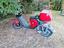 Immagine 2